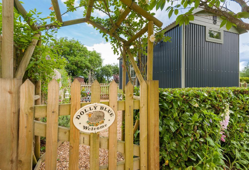 Dolly At Lowlands Ringwood Exterior foto